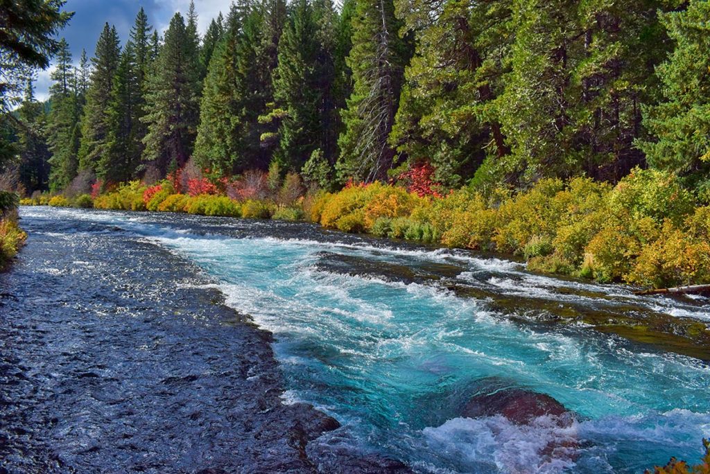 Metolius River, Oregon, USA